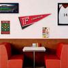 Fairfield Stags Pennant view 3