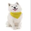 Mechaly Triangle Plain Bandanas - 6 Pack - Kerchiefs and Head Scarf (Yellow) view 3