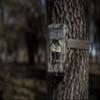 Bushnell Trophy Trail Camera 20MP - High-Resolution Images, Fast Trigger Speed, and Night Vision for Optimal Outdoor Photography view 2
