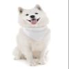 Mechaly Triangle Plain Bandanas - 6 Pack - Kerchiefs and Head Scarf (White) view 3