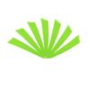 AMEYXGS 50pcs Archery Turkey Feathers 4 Inch Right Wing Arrow Feather DIY Archery Solid Color Feather Outdoor Hunting Archery Accessories (Light Green) view 1