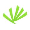 AMEYXGS 50pcs Archery Turkey Feathers 4 Inch Right Wing Arrow Feather DIY Archery Solid Color Feather Outdoor Hunting Archery Accessories (Light Green) view 3