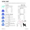 Abby Rae Bandanas Happy Birthday Over-The-Collar Dog Bandana (Extra Large) view 3