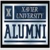 Holland Bar Stool Co. Xavier 26" x 15" Alumni Mirror by The view 1