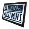 Holland Bar Stool Co. Xavier 26" x 15" Alumni Mirror by The view 2
