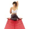 Liforme Year of The Pig Yoga mat  Free Yoga Bag, Patented Alignment System, Warrior-like Grip, Non-Slip, Eco-friendly, Sweat-resistant, Long, Wide and Thick for comfort view 4