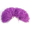 8 Colors 2pcs Cheerleading Poms, PE Cheer Poms Cheerleading Kit Accessories Special for Kindergarten Children s Activities Cheerleading Kit Finger Ring () Dance Supplies view 1