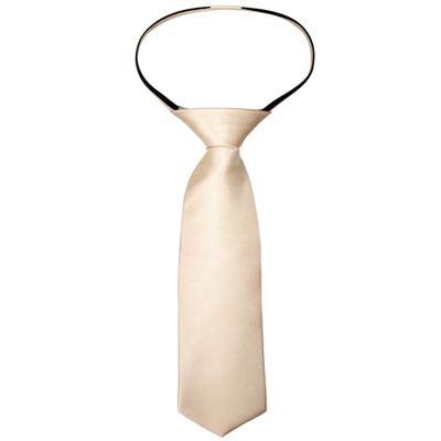 Alizeal Boys Solid Color Pre-tied 2.4'' Zipper Skinny Neckties for Kids, Champagne