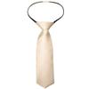 Alizeal Boys Solid Color Pre-tied 2.4'' Zipper Skinny Neckties for Kids, Champagne view 1