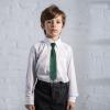 Alizeal Boys Solid Color Pre-tied 2.4'' Zipper Skinny Neckties for Kids, Dark Green view 4
