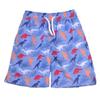 Flap Happy Boys' Swim Trunks, Dino Rex, 2 view 1