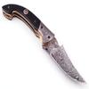 Damascus Steel Folding Pocket Knife 8 Bushcraft Skinner Hunting Survival Handmade Brass Damascus Buffalo Horn Mosaic Pin Handle Free Cowhide Leather Pouch(126) view 3