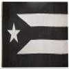 American Wholesale Superstore 3x5 Black and White Puerto Rico 100D Woven Poly Nylon Flag 5x3 Banner Grommets Heavy Duty (RUF) view 1