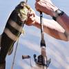 CS8 Spinning Reel,Cadence Ultralight Fast Speed Premium Magnesium Frame Fishing Reel with 10 Low Torque Bearings Super Smooth Powerful Fishing Reel with 36 LBs Max Drag & 6.2:1 Spinning Reel view 2