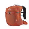 Gregory Citro 24L H2O Unisex Day Hiking/Backpacking Hydration Backpack with Included Reservoir, Breathable Backpanel and Shoulder Harness, One Size Fits All, Spark Orange view 1