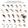 BASSDASH 76pcs Fly Fishing Flies Kit with Fly Box for Trout Fishing Include Nymphs, Dry Wet Flies, Streamers view 3