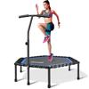 Newan 48'' Fitness Trampoline with Adjustable Handle Bar, Silent Trampoline Bungee Rebounder Jumping Cardio Trainer Workout for Adults - Max Limit 330 lbs view 1