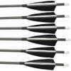 SHARROW 6/12 PCS Carbon Arrow 34 Inch Archery Arrow Spine 500 Turkey Feather Practice and Hunting Arrows with Removable Tips for Compound Bow and Recurve Bow view 4