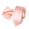 Spring Notion Men's Regular Solid Color Satin Microfiber Tie and Handkerchief Set Petal view 1