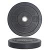 Fitness First Competion Crumb Bumper Plates 10-45 lbs. view 1