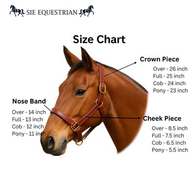 SIE EQUESTRIAN Polo Leather Horse Halter (Black, Full)