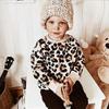 BOEBNOZCV Toddler Baby Girls Boy Leopard Print Sweater Long Sleeve Pullover Tops Blouse Sweatshirt Autumn Clothes (Leopard,1-2T) view 2