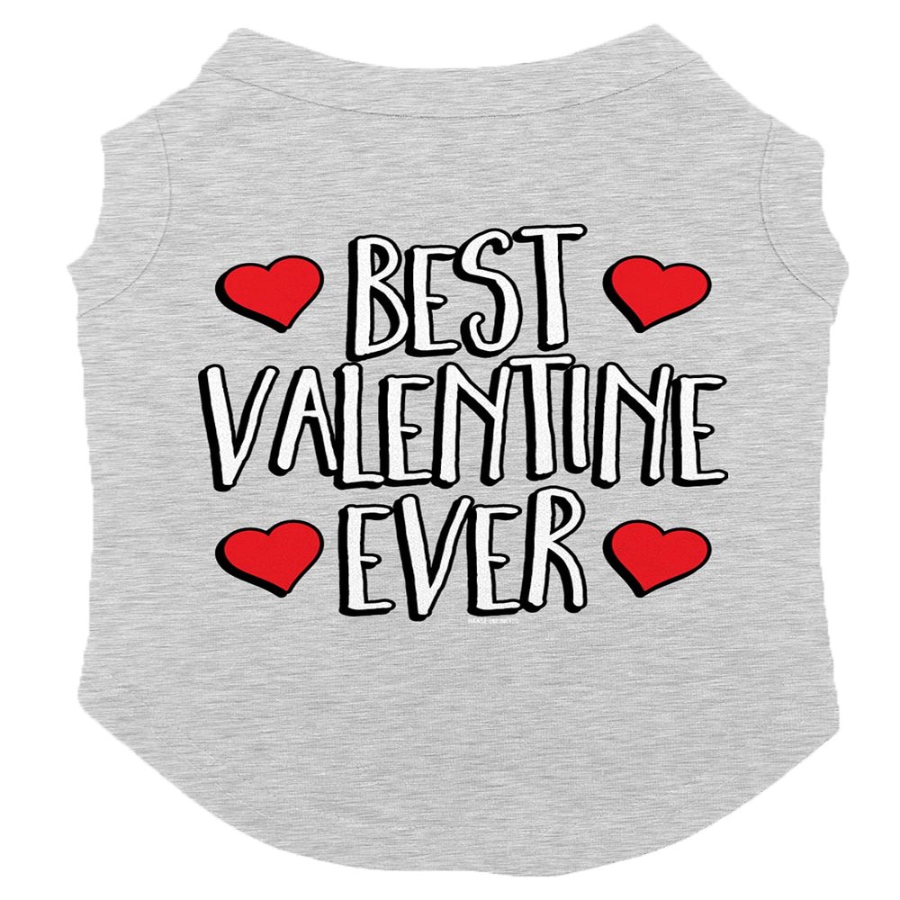 Best Valentine Ever - Dog Shirt (Light Gray, Medium)