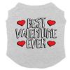 Best Valentine Ever - Dog Shirt (Light Gray, Medium) view 1