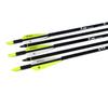 TIGER ARCHERY 30Inch Carbon Arrow Practice Hunting Arrows with Removable Tips for Compound & Recurve Bow(Pack of 12) (Yellow White) view 4