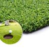 Pro Putting Green Golf Artificial Grass Turf 6FTX9FT Indoor Outdoor Golf Training Mat, Synthetic Fake Grass for Baseball Football Gym Sports view 3