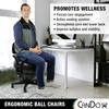 CanDo Metal Ball Chair - Inflatable Ergonomic Active Seating Exercise Ball Chair With Air Pump for Home, Office, and Classroom view 3