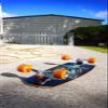 Surfeeling USA Mr. Pop Surf Style Skateboard - Black Graphic view 4