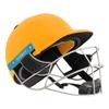 Shrey Master Class Air 2.0 Stainless Steel Batting Cricket Helmet for Men's (Gold, L) view 2