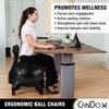 Cando Ball Chair Inflatable Ergonomic Active Seating Exercise Ball Chair with Air Pump for Home, Office, and Classroom view 3