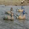 Dakota Decoys White Front Floater Decoy view 2