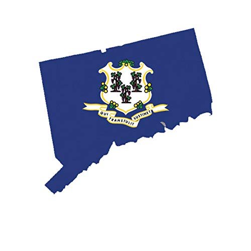 EW Designs Connecticut State Shaped Flag Sticker Decal Vinyl CT Bumper Sticker Vinyl Sticker Car Truck Decal 5"