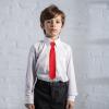 Alizeal Boys Solid Color Pre-tied 2.4'' Zipper Skinny Neckties for Kids, Red view 4