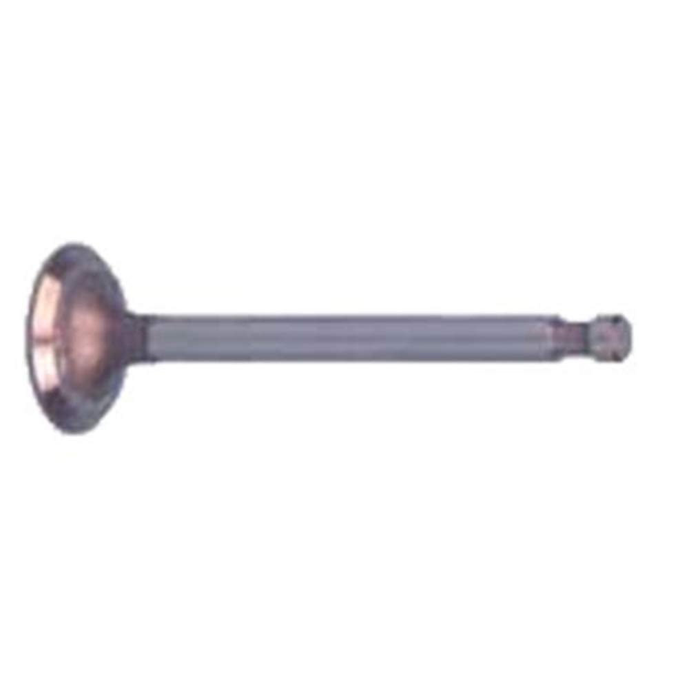 Club Car DS and Precedent 1992-Up Golf Cart Intake Valve