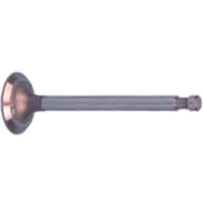 Club Car DS 1996-Up Golf Cart FE350 Exhaust Valve