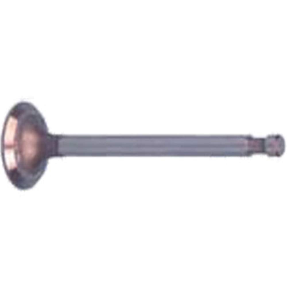 Club Car DS 1996-Up Golf Cart FE350 Exhaust Valve