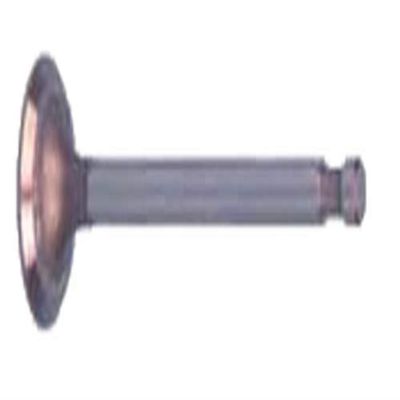 Club Car DS and Precedent 1992-Up Golf Cart Exhaust Valve