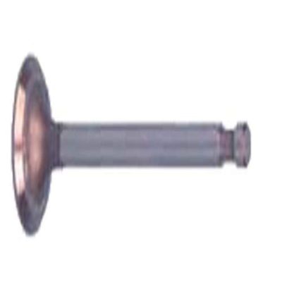 Club Car DS 1996-Up Golf Cart FE350 Intake Valves