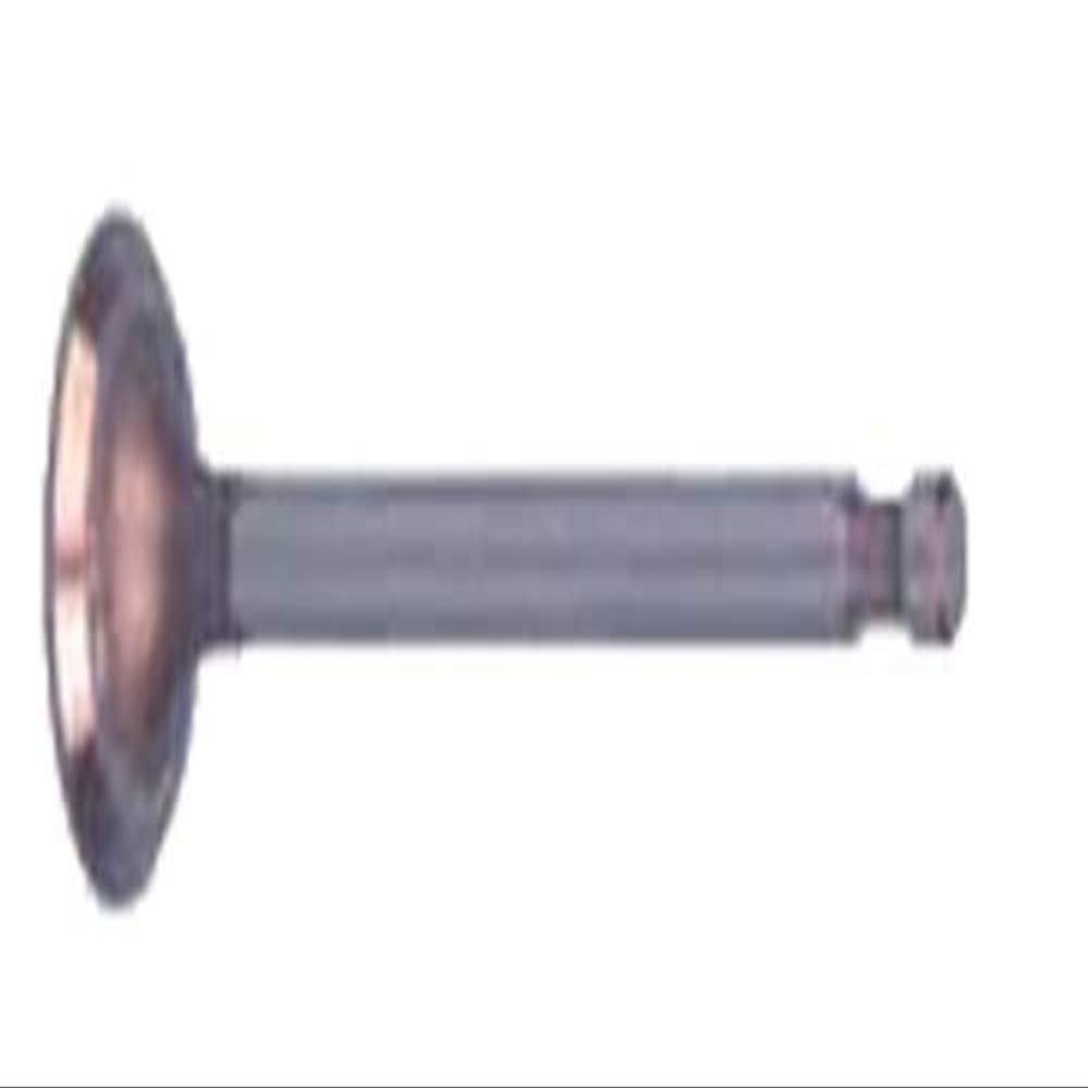 Club Car DS 1996-Up Golf Cart FE350 Intake Valves