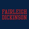 AH01 - Fairleigh Dickinson Knights/Devils Basic Block Hoodie - Large - Navy view 2