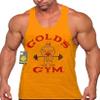 Gold's Gym Tank Top - Official Licensed - TT-2 (S, Gold) view 1