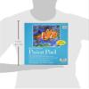 Premium 2-Pack 27-209 100 Series Youth Paint Pad, 9"x12" Tape Bound, 20 Sheets view 3