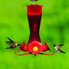 Perky-Pet Premium 2-Pack 403CP Pinch Waist Plastic Hummingbird Feeder, 8-Ounce view 2