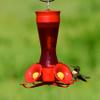 Perky-Pet Premium 2-Pack 403CP Pinch Waist Plastic Hummingbird Feeder, 8-Ounce view 3