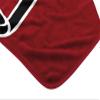 Northwest NFL Atlanta Falcons Unisex-Adult Raschel Throw Blanket, 60" x 80", Slant view 2