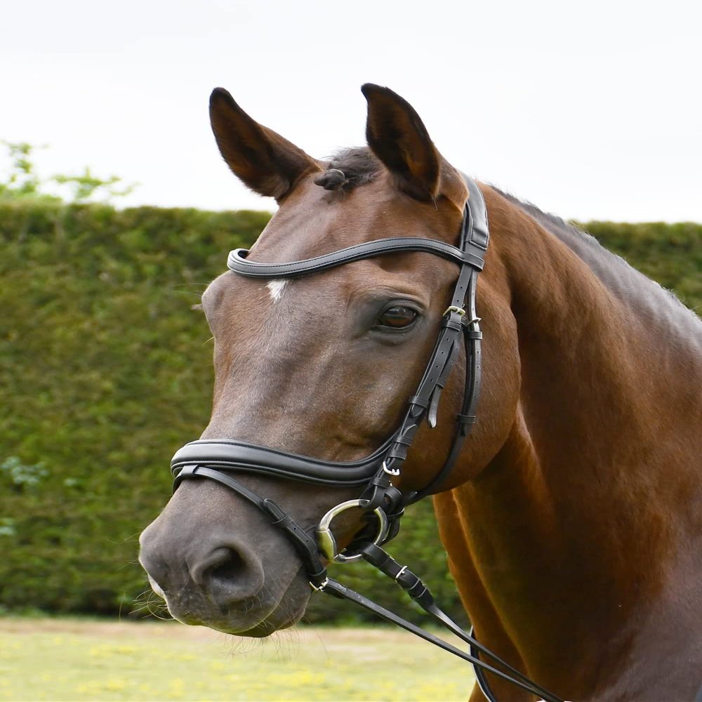Rhinegold Unisex's R175-XF-HAV Softee Pro-Anatomic Flash Bridle-Extra Full-Havana